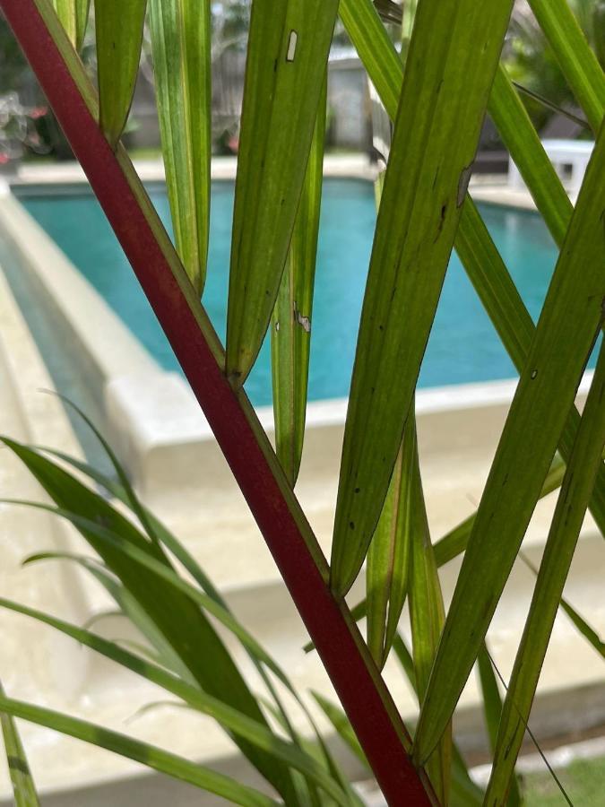 Hola Lofts Βίλα Uluwatu Εξωτερικό φωτογραφία